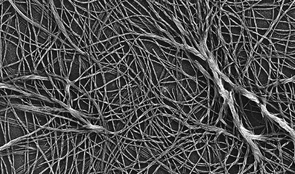 biotencologie, risparmio co2, risparmio co2 con biotecnologie, sostanze lignocellulosiche, zuccheri biocarburanti, zuccheri fermentabili